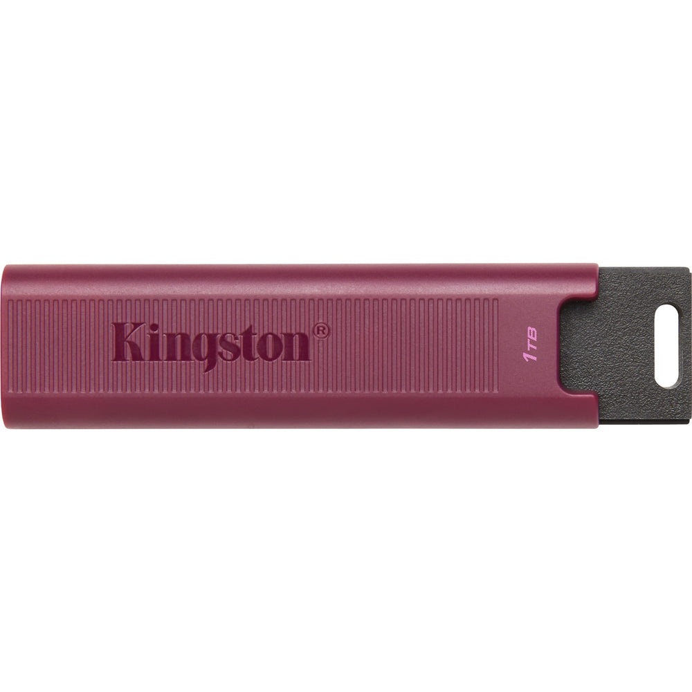 Kingston DataTraveler Max 1 Tb