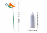 Sluban blomster paradisfugl blomst strelitzia reginae aiton 148 dele