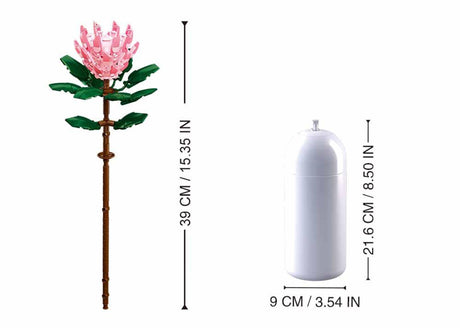 Sluban kæmpe protea (m38-b1101-03)