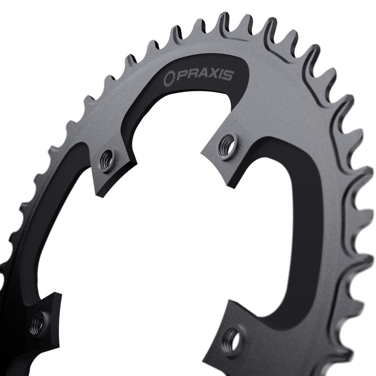 Praxis kædering 1x e-ring 110bcd m8 46t