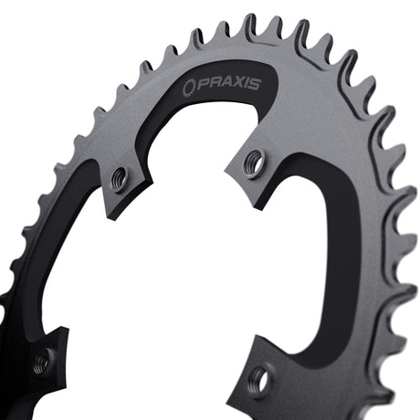 Praxis kædering 1x e-ring 110bcd m8 42t