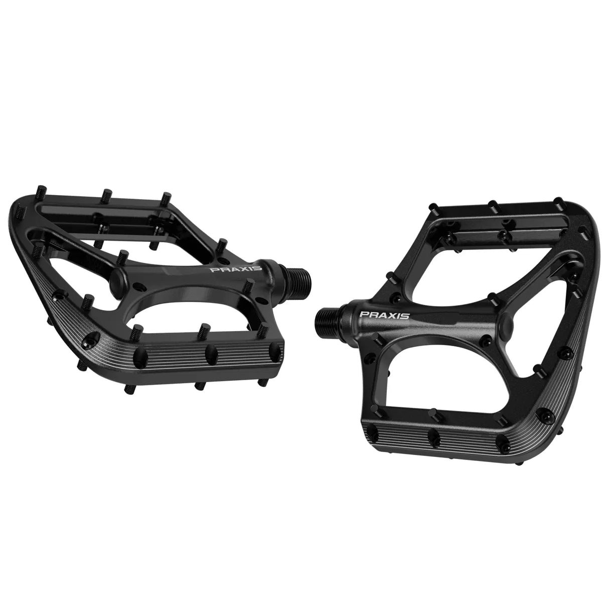 Praxis pedal broodium sort