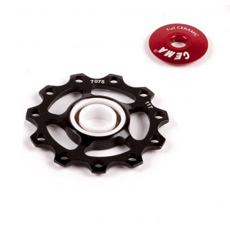 CEMA DERAALEUR SWIES ALU 10 11V RVS-fuld keramisk-Zwart