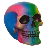 Rainbow skull hjemmetilbehør