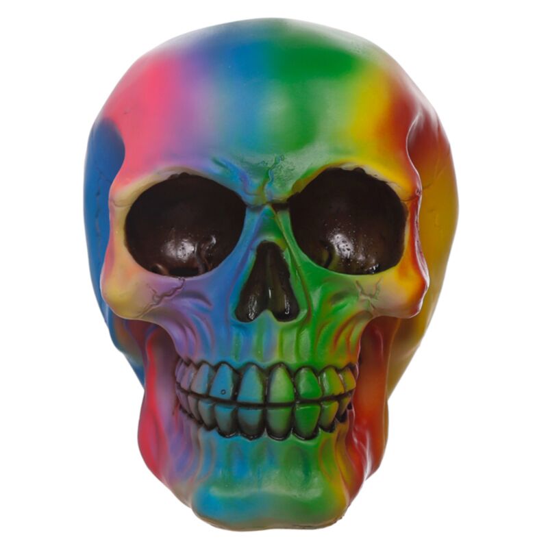 Rainbow skull hjemmetilbehør