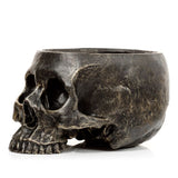 Kranie urtepotte indeni