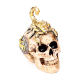 Skorpion kranie ornament