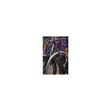 Abus foldeslot Bordo Granit Xplus 6500k 90 sort