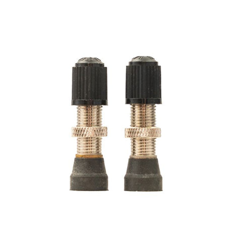 Stan's valve stem (pair) - universal, schrader, 10mm base - 32mm