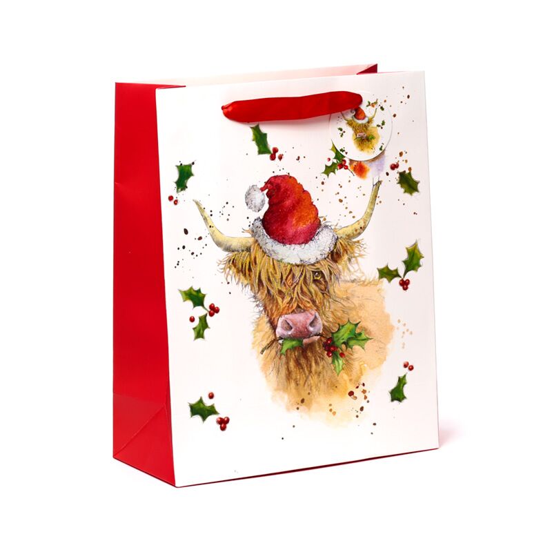 Jan pashley christmas highland coo gavepose l