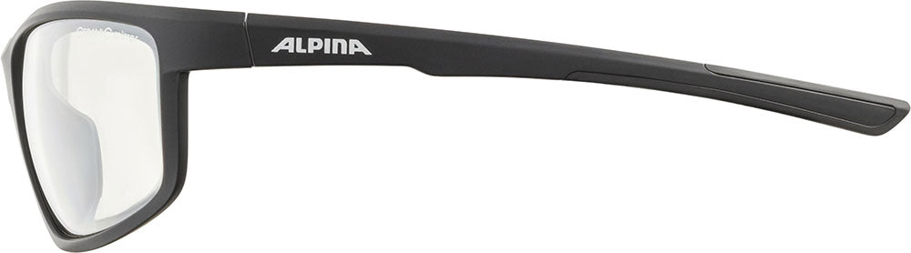 Alpina defey - sportsbriller
