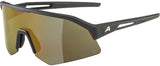Alpina sonic hr q - sportsbriller