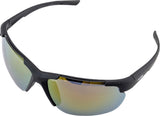Alpina defey hr - sportsbriller