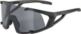 Alpina hawkeye - sportsbriller