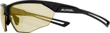 Alpina nylos hr - sportsbriller