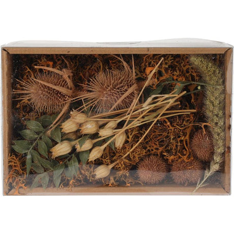 Home styling tørret blomsterblanding i box natur