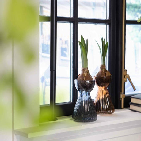 Esschert design Esschert pærevase ribbet amaryllis