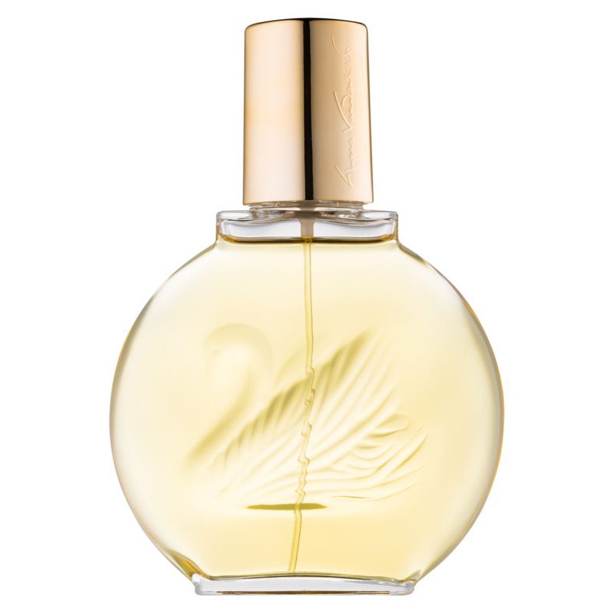 Gloria van der bilt eau de toilette spray 100ml damer