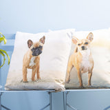 Esschert design udendørs pudehund