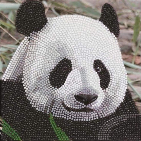 Mærke enhed diamant maleri - kort kæmpe panda
