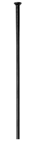 Dt swiss champion® straightpull eger 2.0 (100 stk.) | 240 mm