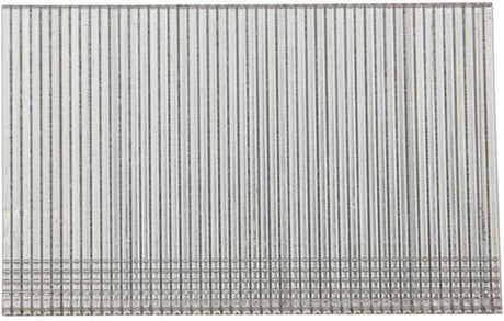 Dewalt accessoires brads 1.6-64 gegalvaniseerd 2.5m - dnbsb1664z