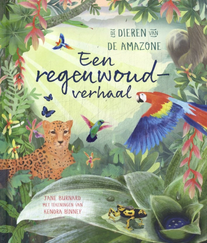Lemniscaat en regnskovshistorie