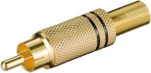 Enzo tulipan stik guldbelagt sort 7097319