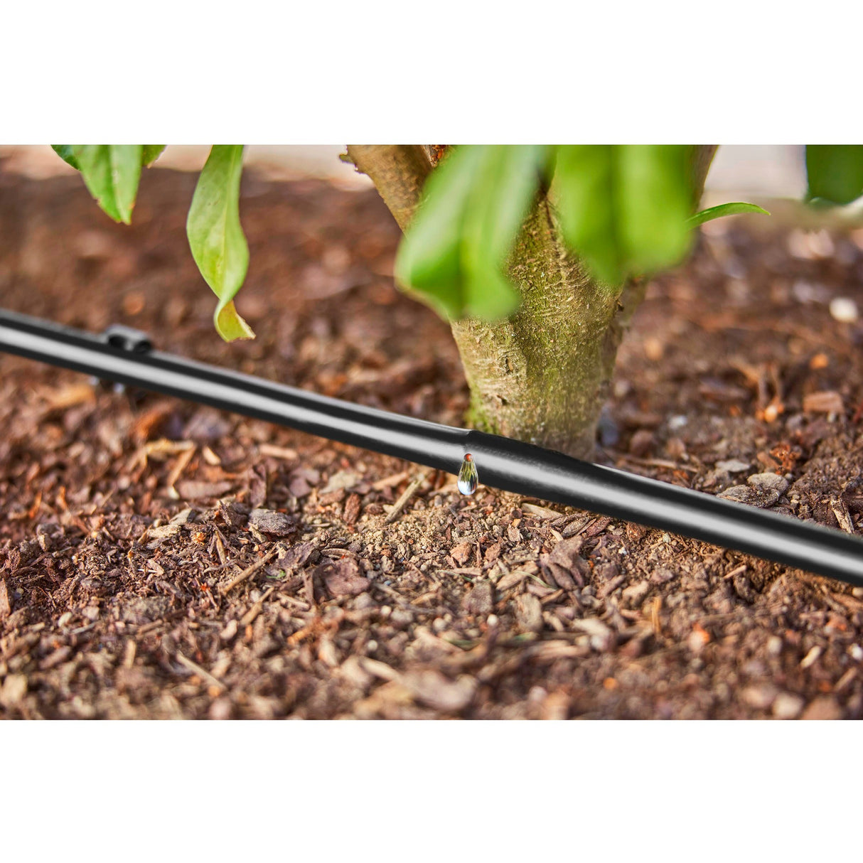Gardena dryprør til buske hække (50 m) drypper (sort)