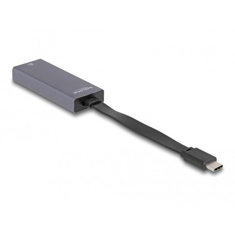 Delock USB-C > 2,5 Gigabit LAN Slank netværksadapter (grå)