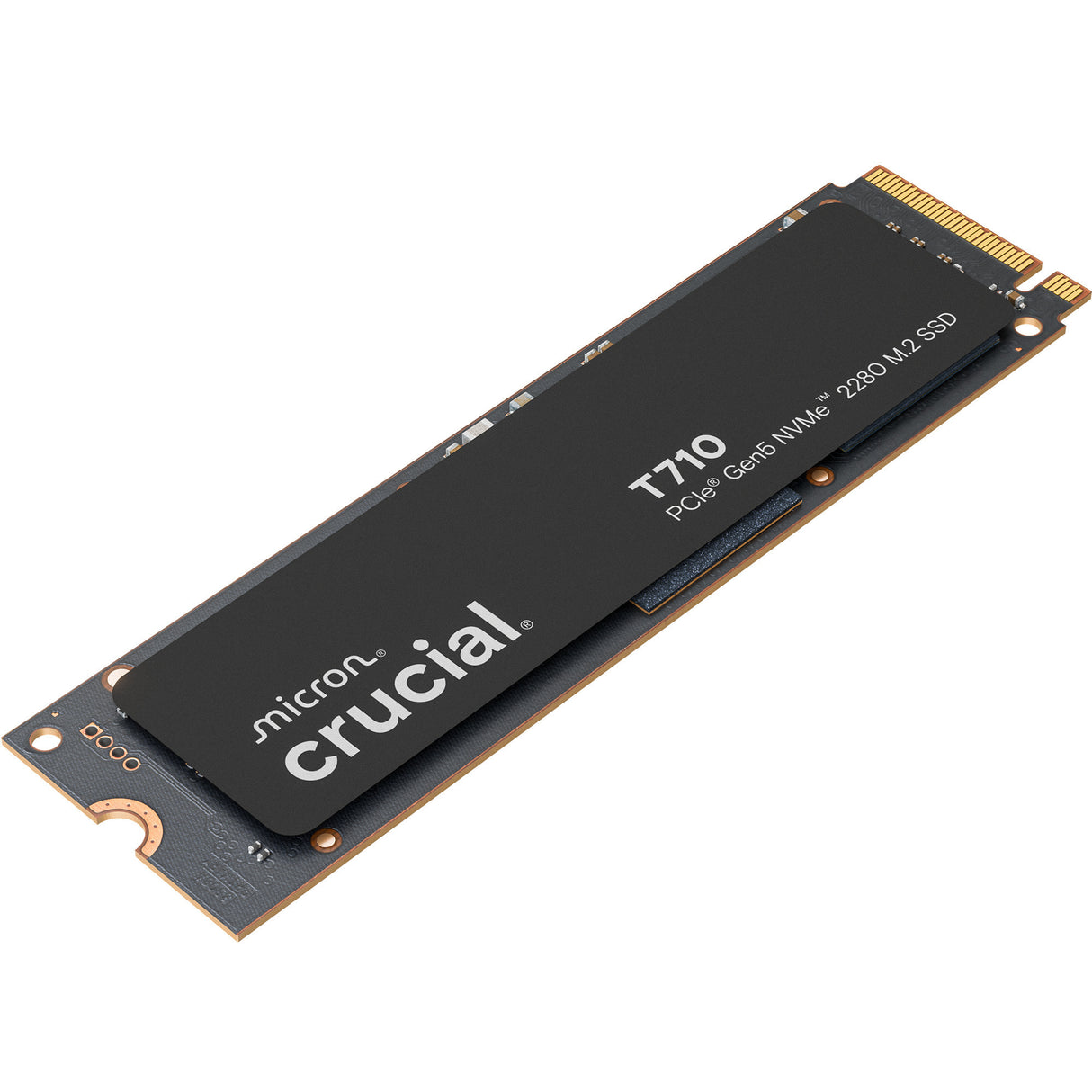 Crucial T710 1 TB SSD (PCIe 5.0 x4, NVME 2.0, M.2 2280)