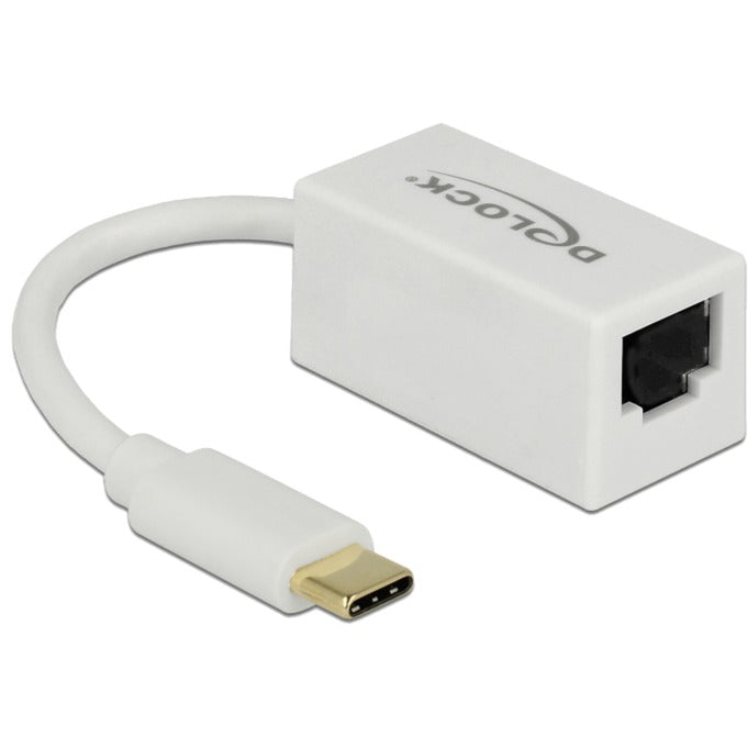 Delock superspeed USB-C (USB 3.1 gen 1) han > gigabit LAN 10 100 1000 mbps kompakt adapter (hvid, 0,135 meter)