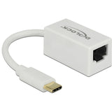Delock superspeed USB-C (USB 3.1 gen 1) han > gigabit LAN 10 100 1000 mbps kompakt adapter (hvid, 0,135 meter)