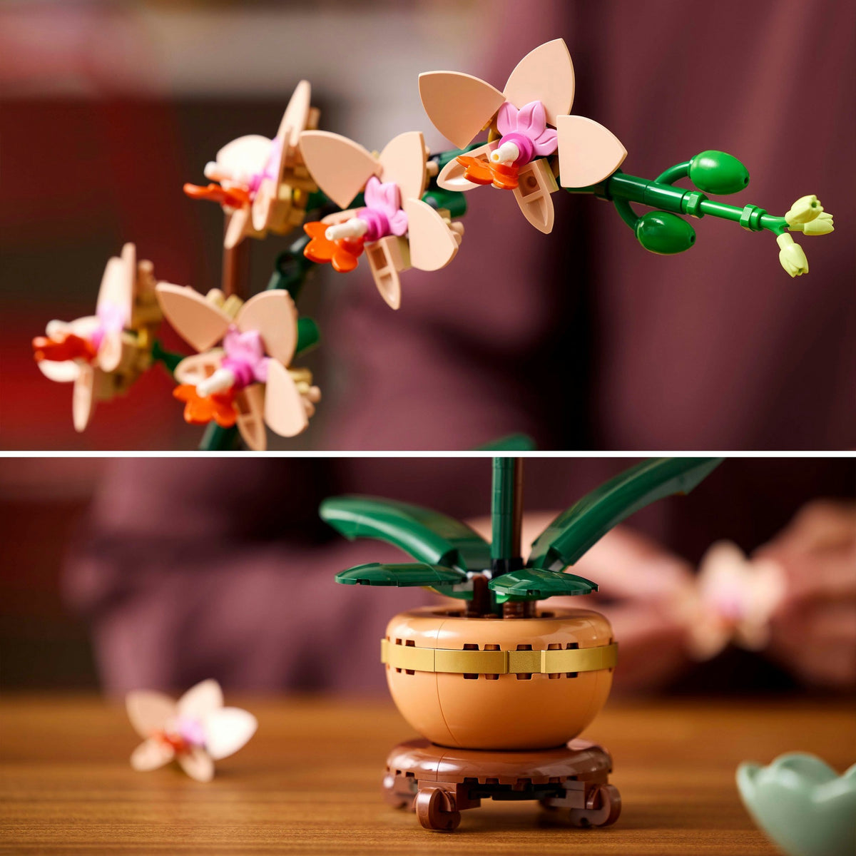 Lego botanicals miniorkidé - 10343