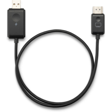 Viewsonic Viewshare WPD-900 Wireless Screen Cast Kit Streaming Client (sort, USB-C)