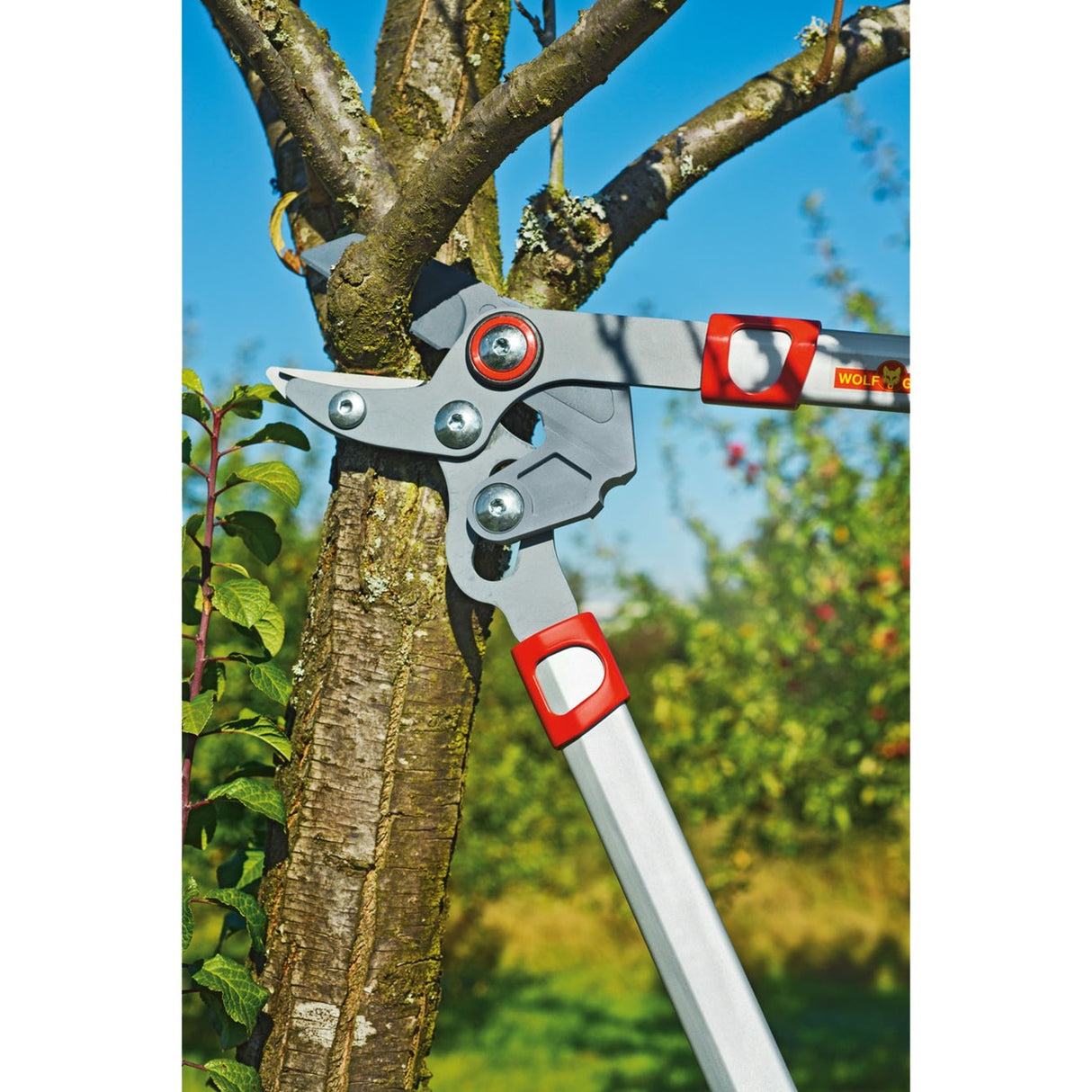 Wolf-garten beskæringssaks basic plus power cut* rs 650 (rød gul)