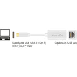 Delock superspeed USB-C (USB 3.1 gen 1) han > gigabit LAN 10 100 1000 mbps kompakt adapter (hvid, 0,135 meter)