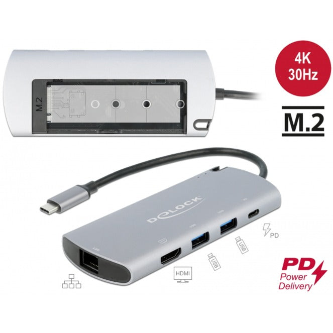 Delock USB Type-C dockingstation med m.2 slot (grå)