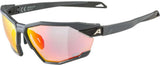 Alpina twist six qv - sportsbriller