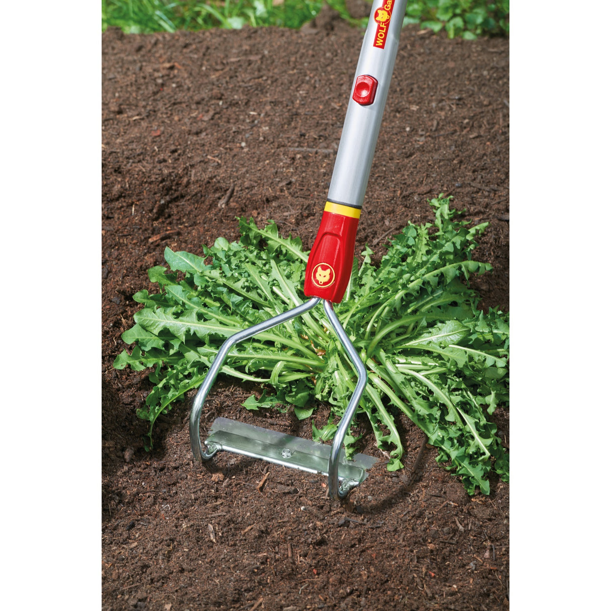 Wolf-garten wolf multi-stjerne kombinationssystem 71aaa009650 ho-m 15 bue hakke 15 cm