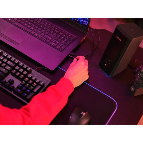 Trust GXT 612 Cetic PC-højttaler (sort, Bluetooth, RGB)