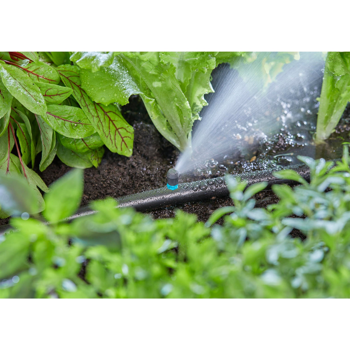 Gardena mikrostrip sprinklerspids (sort turkis, 5 stk.)