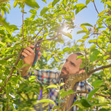 Gardena beskæringssaks premiumcut pro flex (grå turkis)
