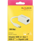 Delock superspeed USB-C (USB 3.1 gen 1) han > gigabit LAN 10 100 1000 mbps kompakt adapter (hvid, 0,135 meter)