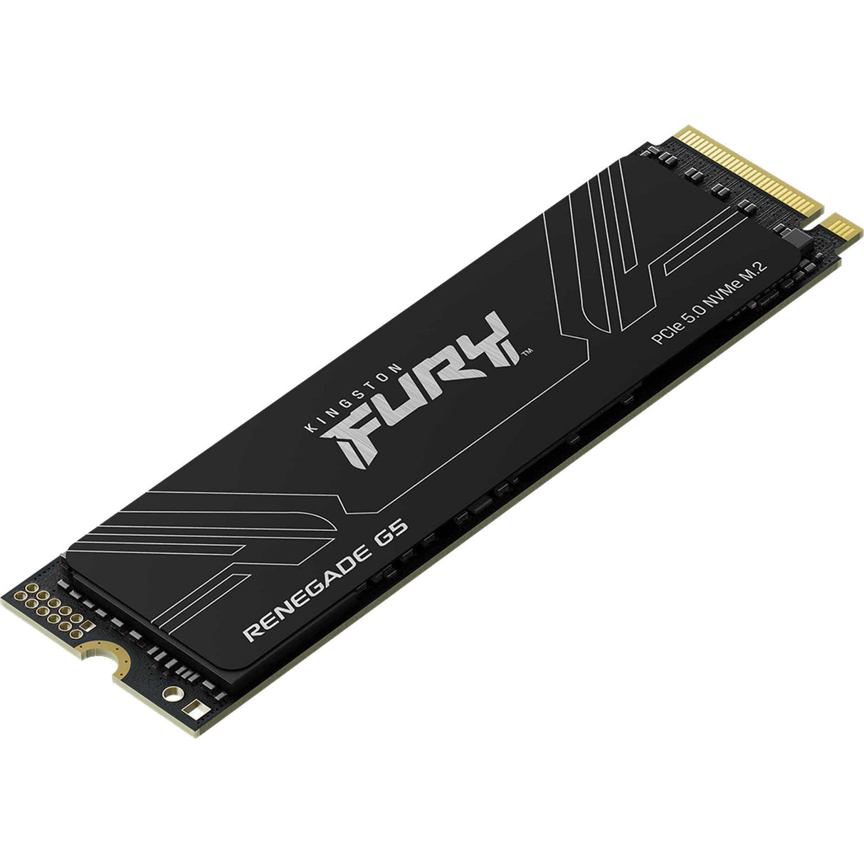 Kingston Renegade G5 4 TB SSD (sort, Sfyr2S 4T0, PCIe 5.0 x4, NVMe, M.2 2280)