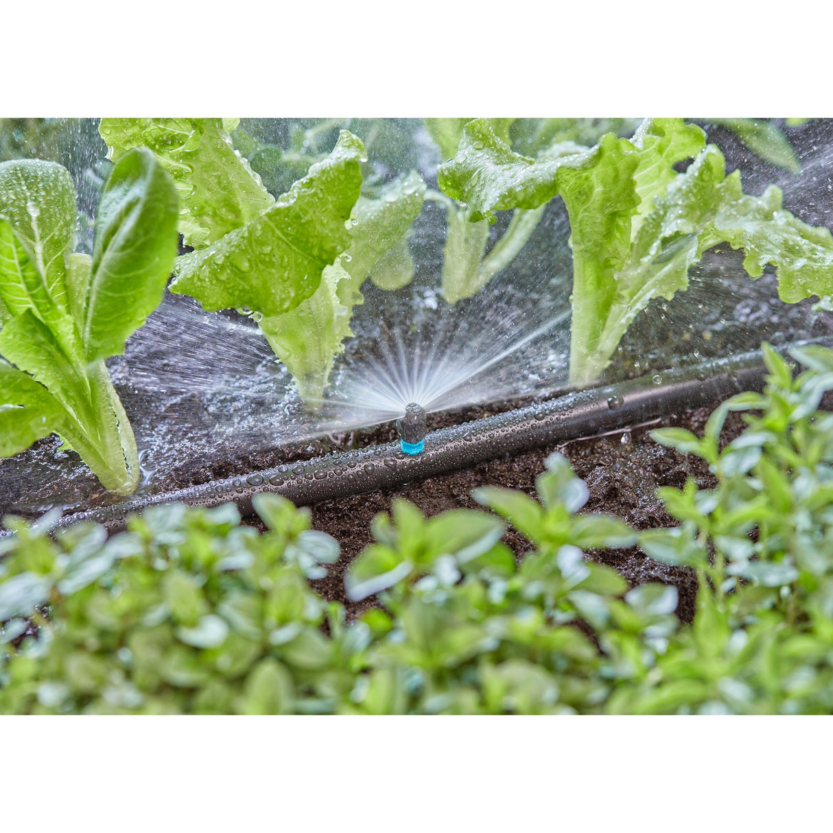 Gardena sprinkler 180° (sort turkis, 5 stk.)