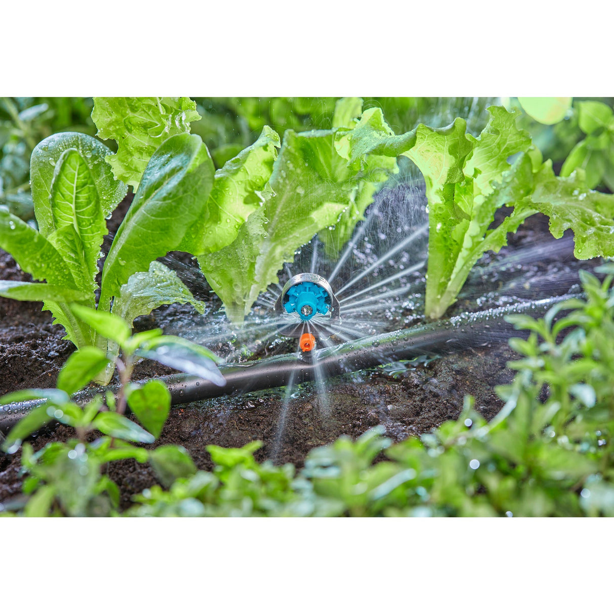Gardena sprayhoved med mikro-drypsystem 13 mm (1 2) ø - 13324-20
