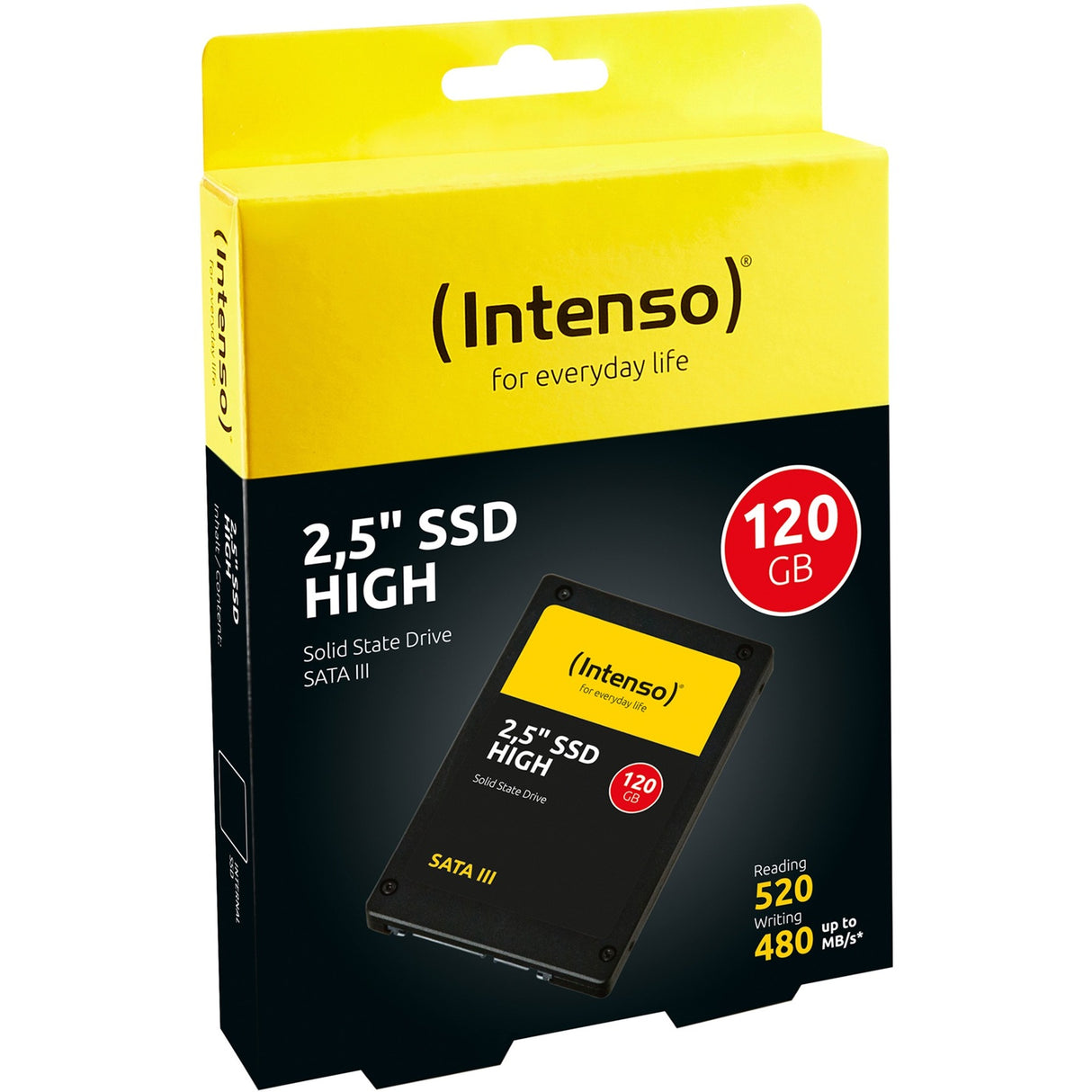 Intenso høj ydeevne, 120 GB SSD (3813430, SATA 600, trim)