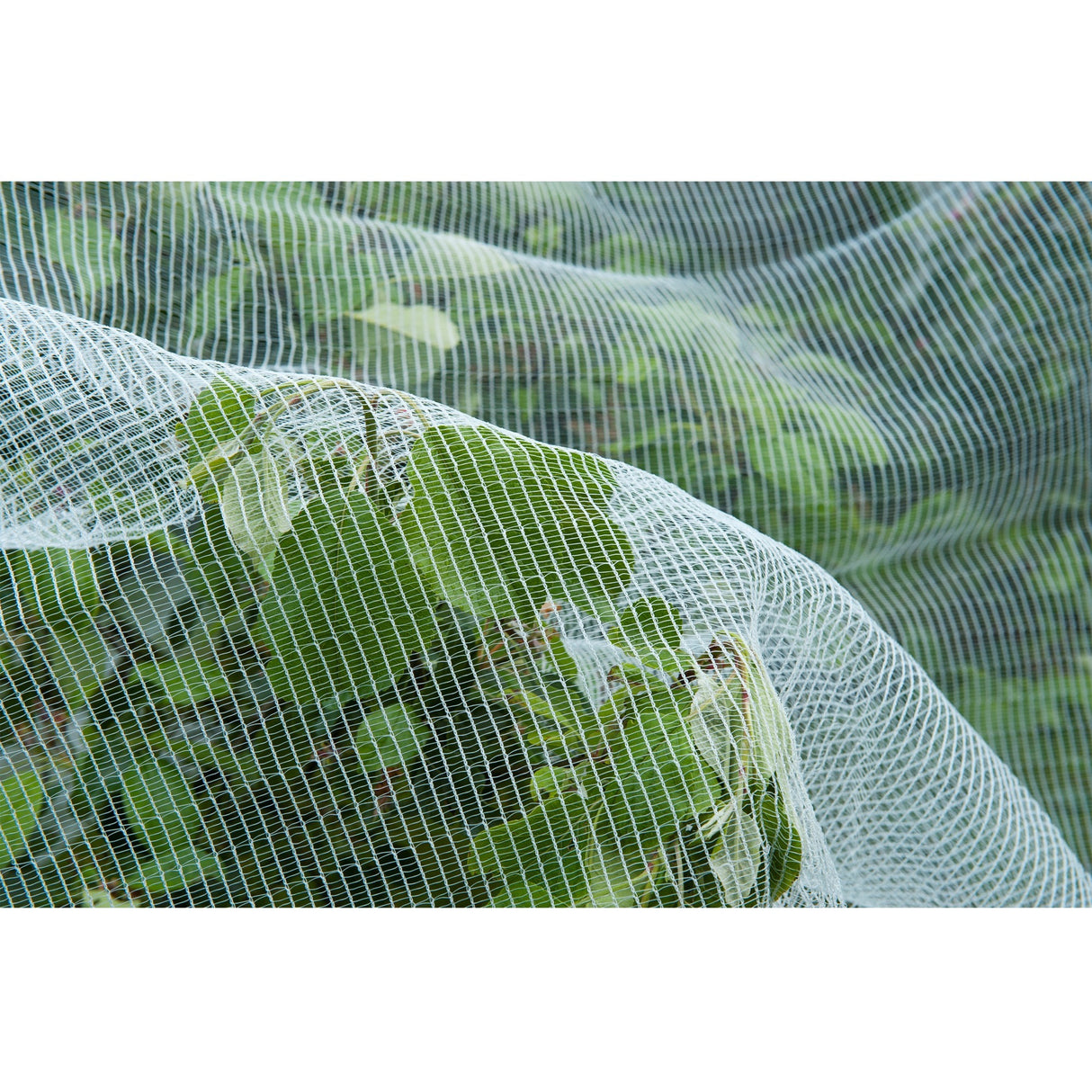 Natur insektnet, finmasket insektnet (hvidt gennemsigtigt, 5,2 x 5 m)