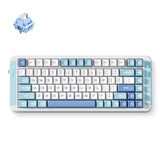 Mchose x75 v2 blue whale sea brugerdefineret mekanisk rgb-tastatur (hvid, us-layout (qwerty), swk whale sea, 75%, rgb, hot swap, double-shot pbt, trådløs | bluetooth | usb-c)